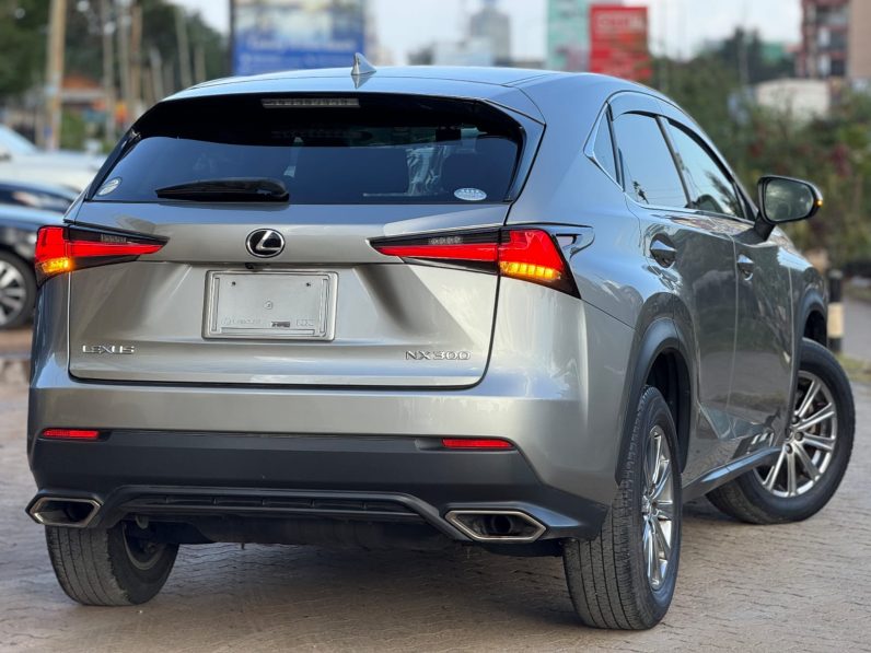
								Lexus NX300 full									
