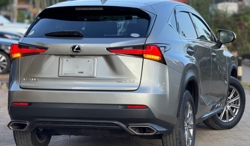
								Lexus NX300 full									