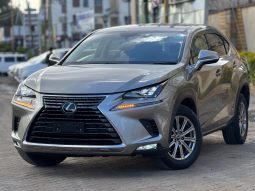 Lexus NX300