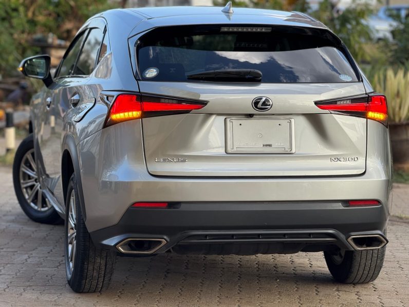 
								Lexus NX300 full									