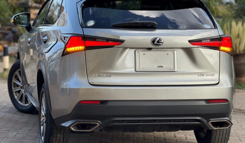 
								Lexus NX300 full									