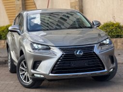 Lexus NX300