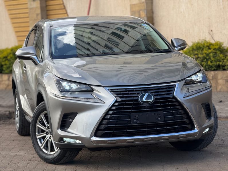 
								Lexus NX300 full									