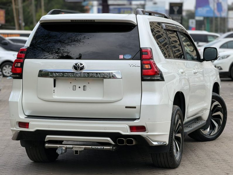 
								Land cruiser prado TXL full									