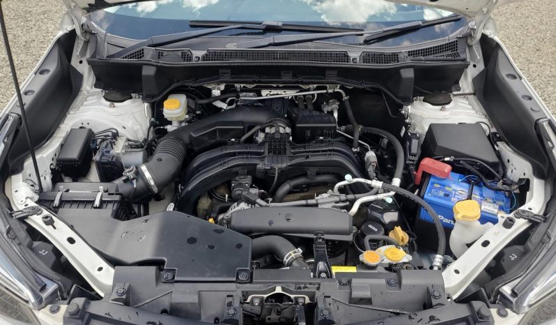 
								Subaru forester full									