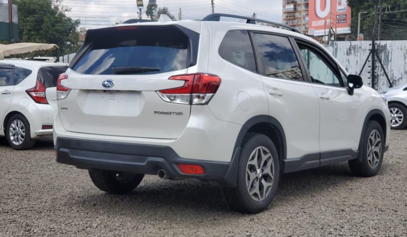 
								Subaru forester full									