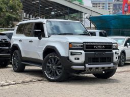 Land cruiser prado J250