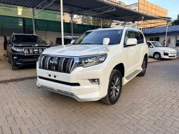 Land Cruiser prado TX