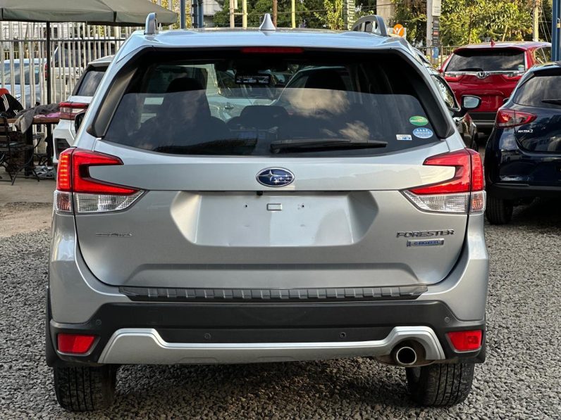 
								Subaru Forester full									