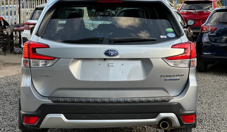 
								Subaru Forester full									