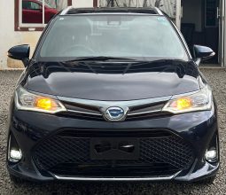 Toyota Fielder WXB