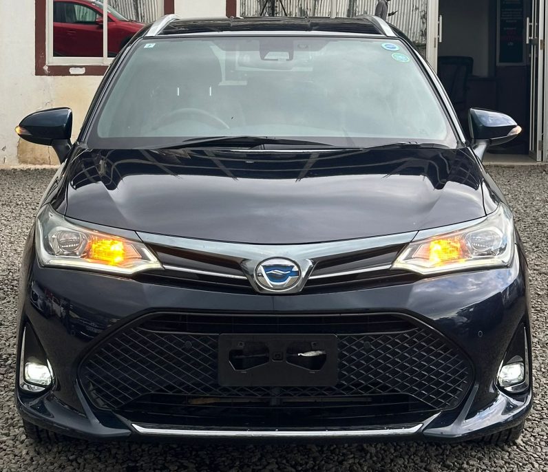
								Toyota Fielder WXB full									