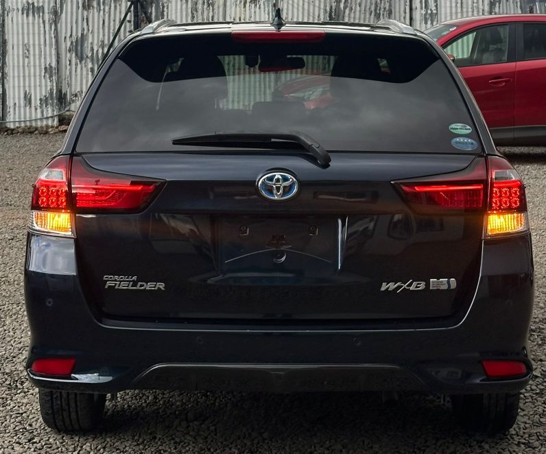 
								Toyota Fielder WXB full									