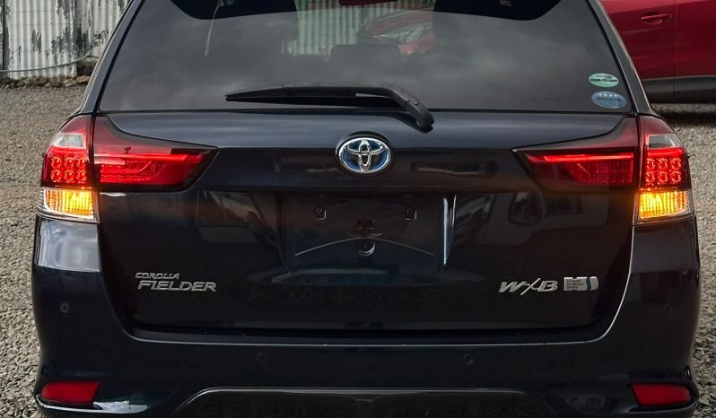 
								Toyota Fielder WXB full									