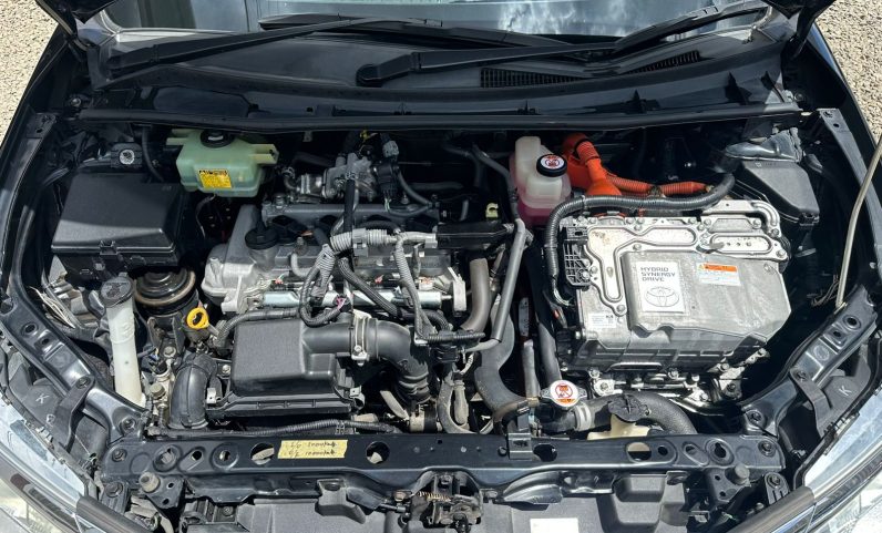 
								Toyota Fielder WXB full									