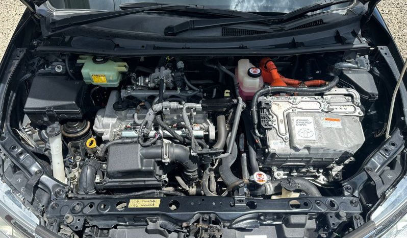 
								Toyota Fielder WXB full									