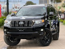 Toyota land cruiser prado TX