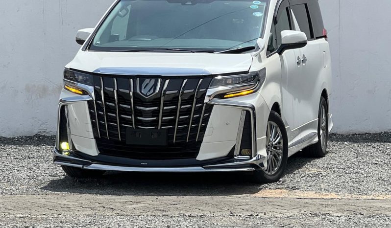 
								Toyota Alphard full									