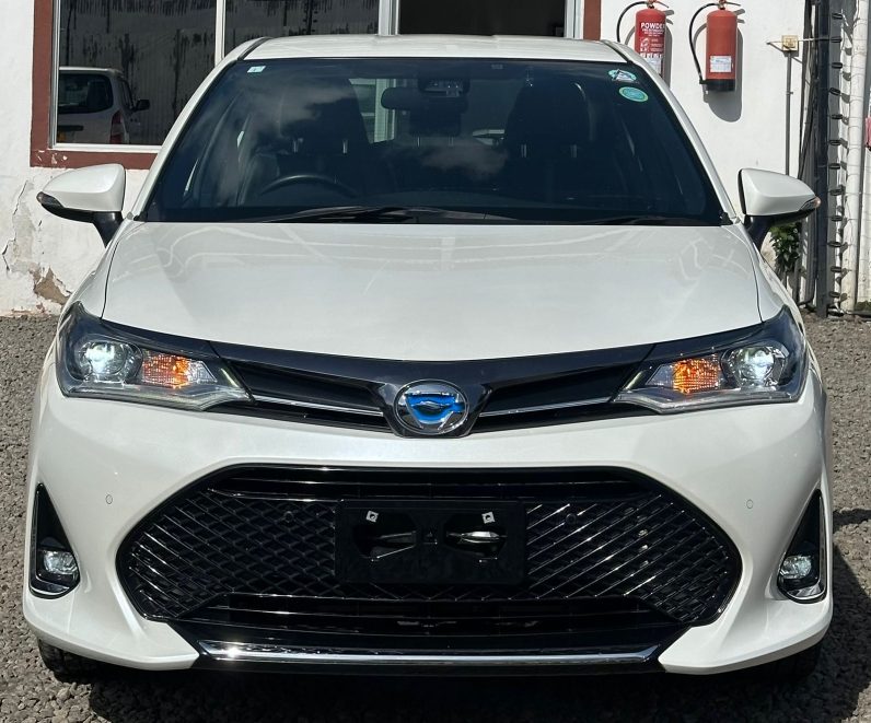 
								Toyota Axio full									