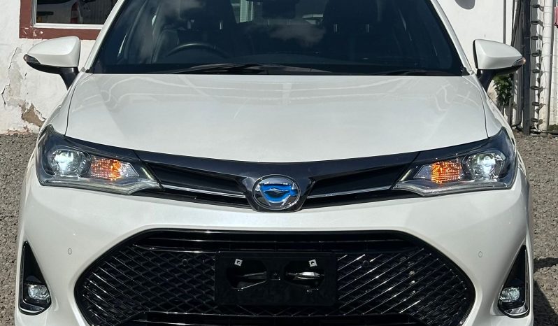 
								Toyota Axio full									