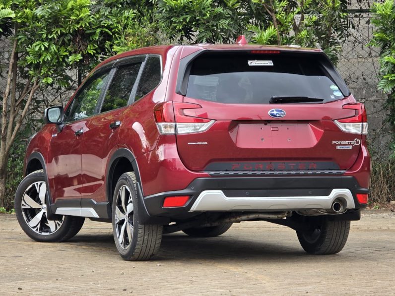 
								Subaru Forester E-Boxer full									