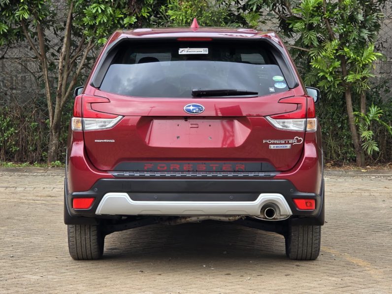 
								Subaru Forester E-Boxer full									