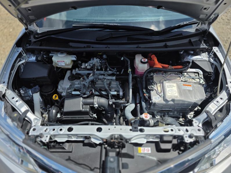 
								Toyota Fielder full									