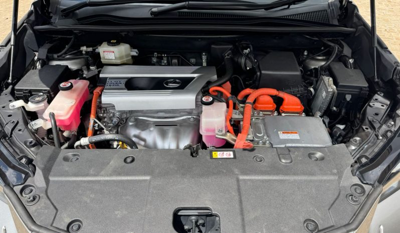 
								Lexus NX300H full									