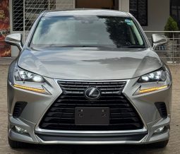 Lexus NX300H