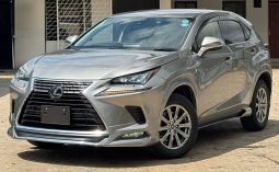 Lexus NX300H