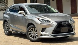 Lexus NX300H