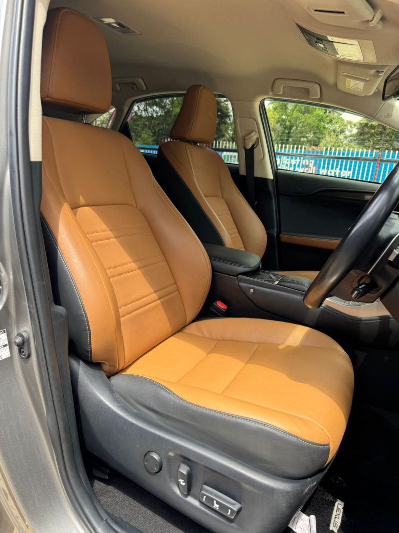 
								Lexus NX300H full									