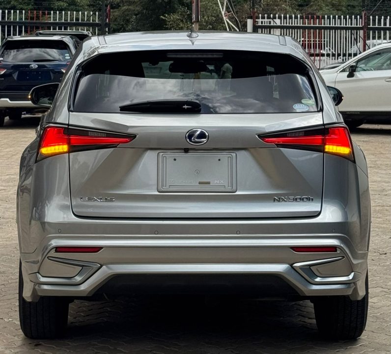 
								Lexus NX300H full									