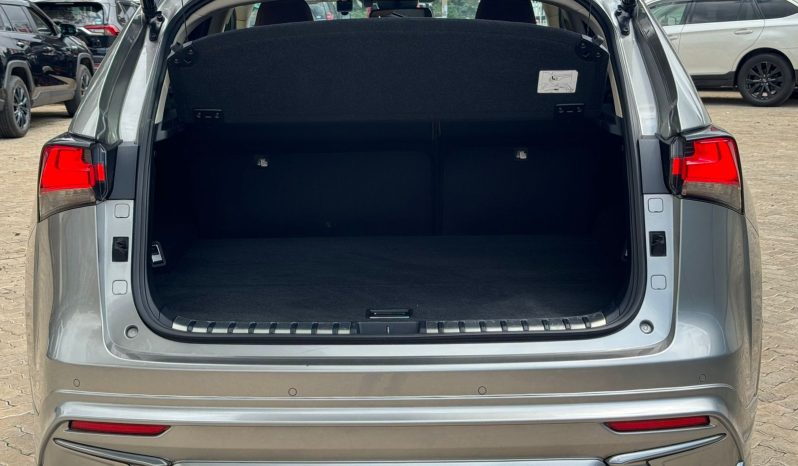 
								Lexus NX300H full									