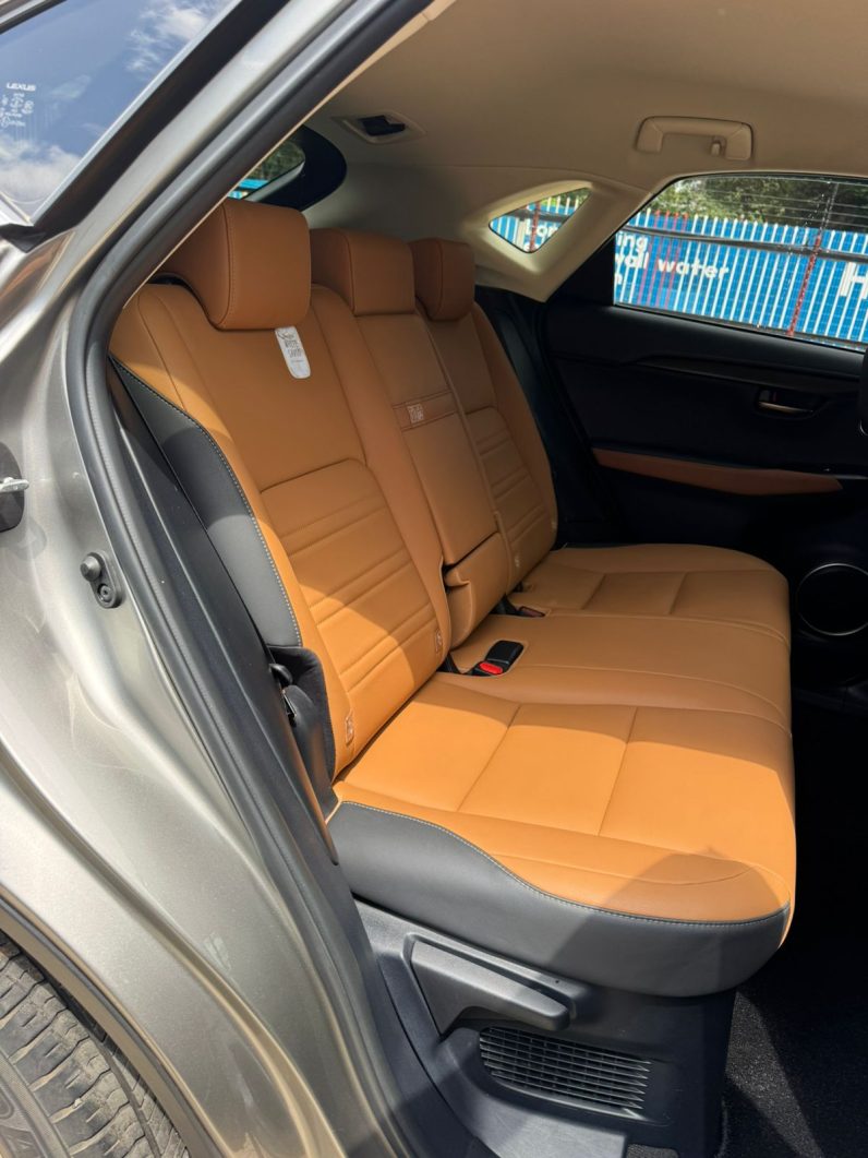 
								Lexus NX300H full									