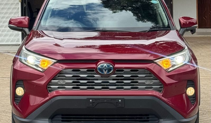 
								Toyota Rav4 full									