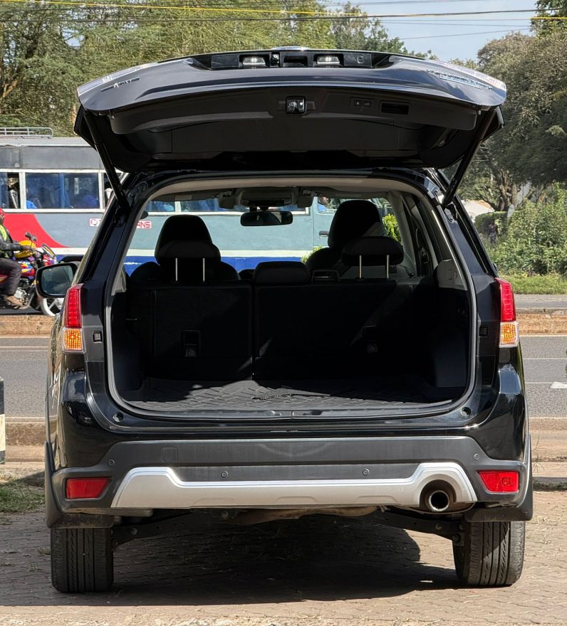 
								Subaru Forester SKE eboxer full									
