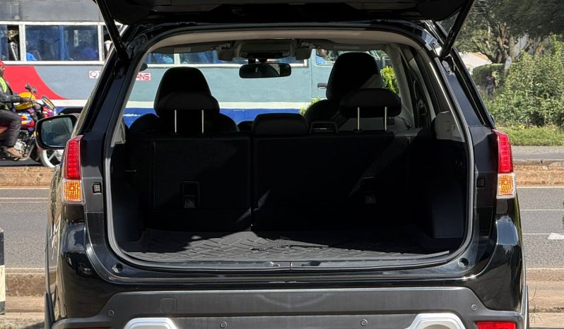 
								Subaru Forester SKE eboxer full									