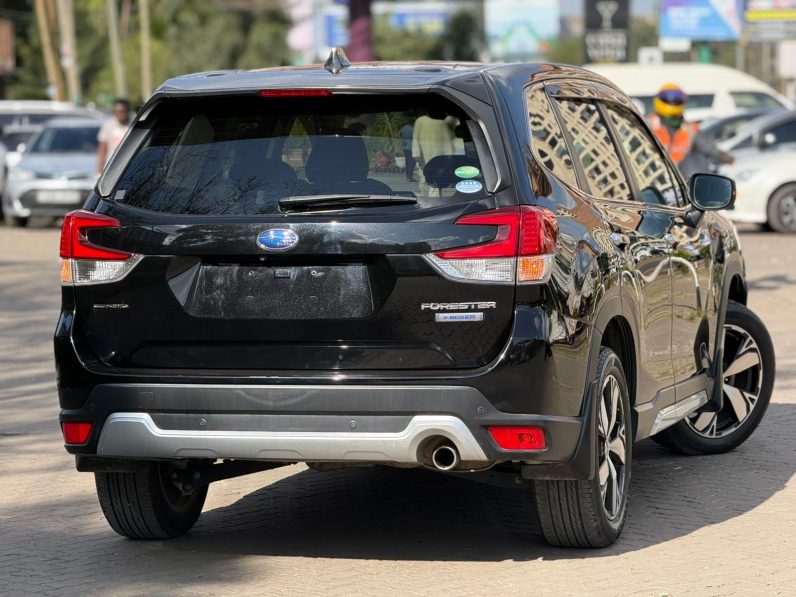 
								Subaru Forester SKE eboxer full									