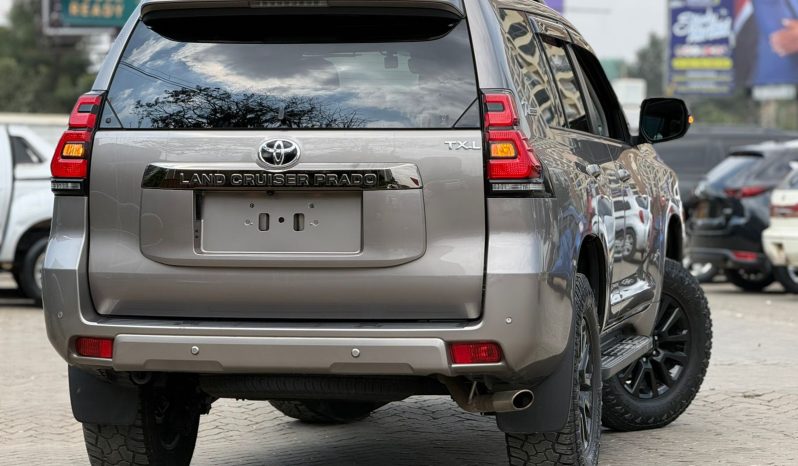 
								Toyota Land Cruiser Prado TXL full									