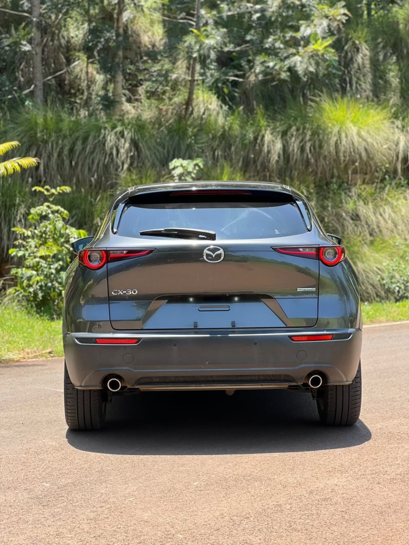
								Mazda CX-30 full									