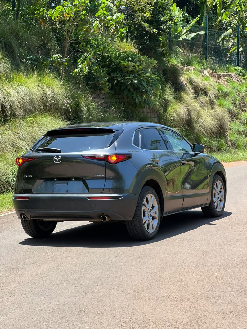 
								Mazda CX-30 full									