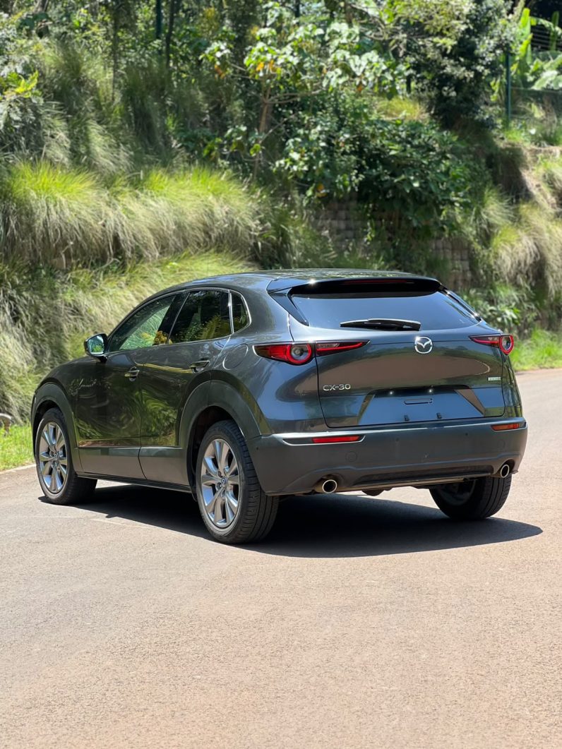 
								Mazda CX-30 full									