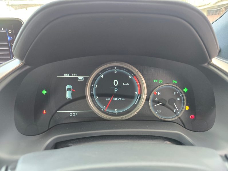 
								Lexus RX300T full									