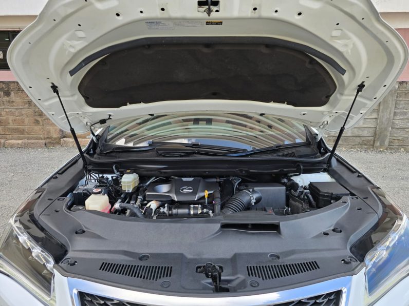 
								Lexus RX300T full									