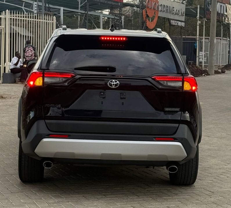 
								Toyota Rav4 Adventure full									