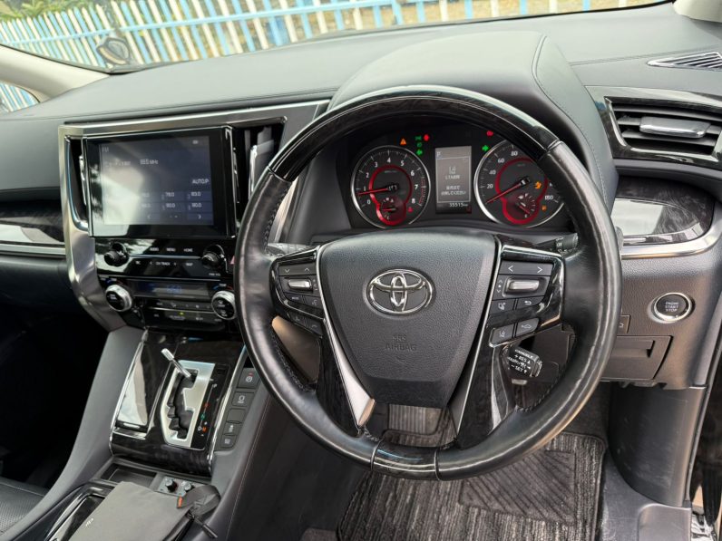 
								Toyota Alphard full									