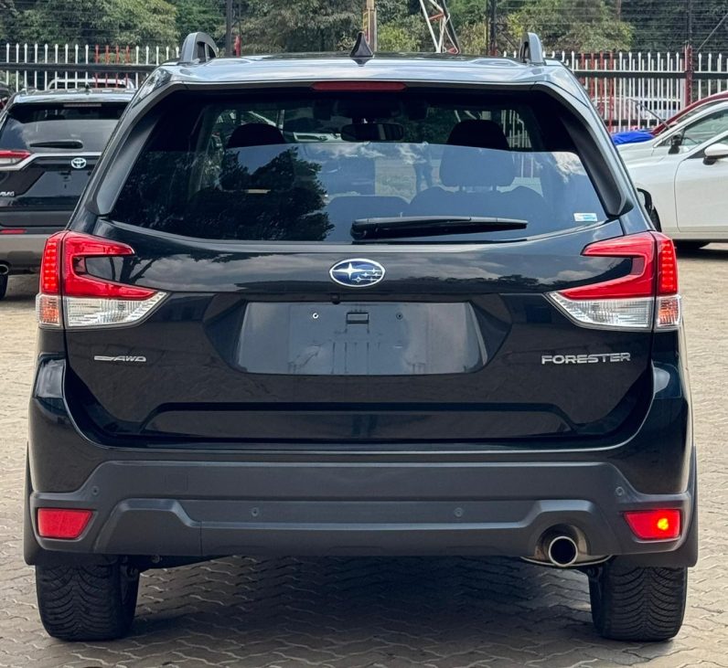 
								Subaru Forester full									
