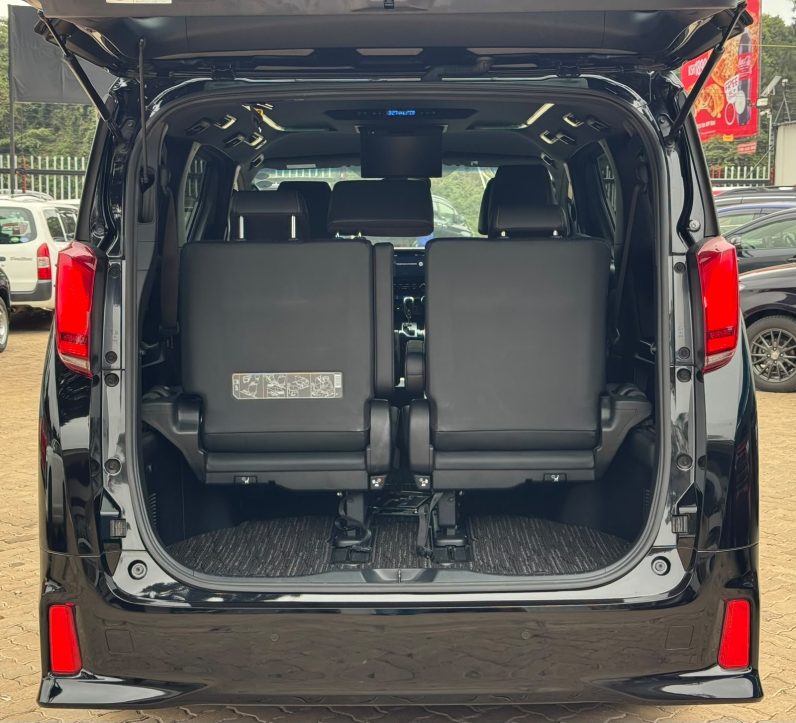 
								Toyota Alphard full									