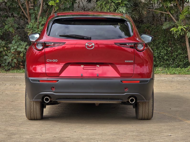 
								Mazda CX30 full									